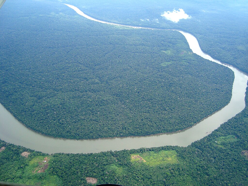 Vue aérienne de la forêt amazonienne, une grande rivière la traversant